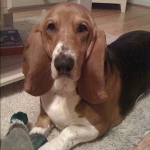 Meet your Posher, Lynn